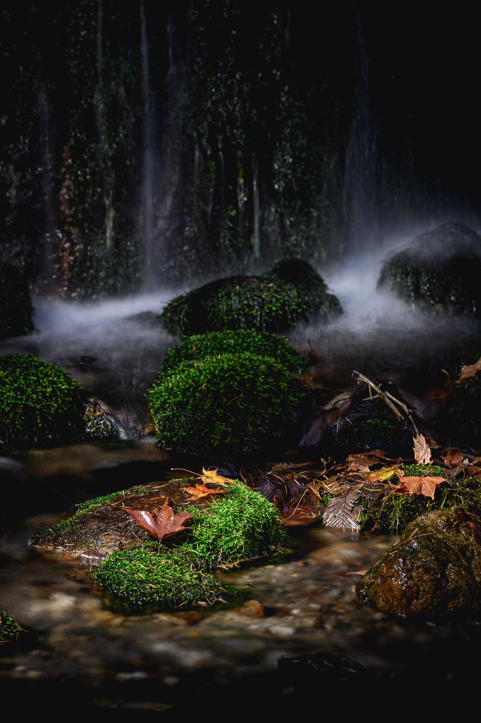 オリンパス M.ZUIKO 75-300mm F4.8-6.7 ED II 値下げ不可 中古 M.ZUIKO DIGITAL ED 75-300mm II M.ZUIKO 望遠