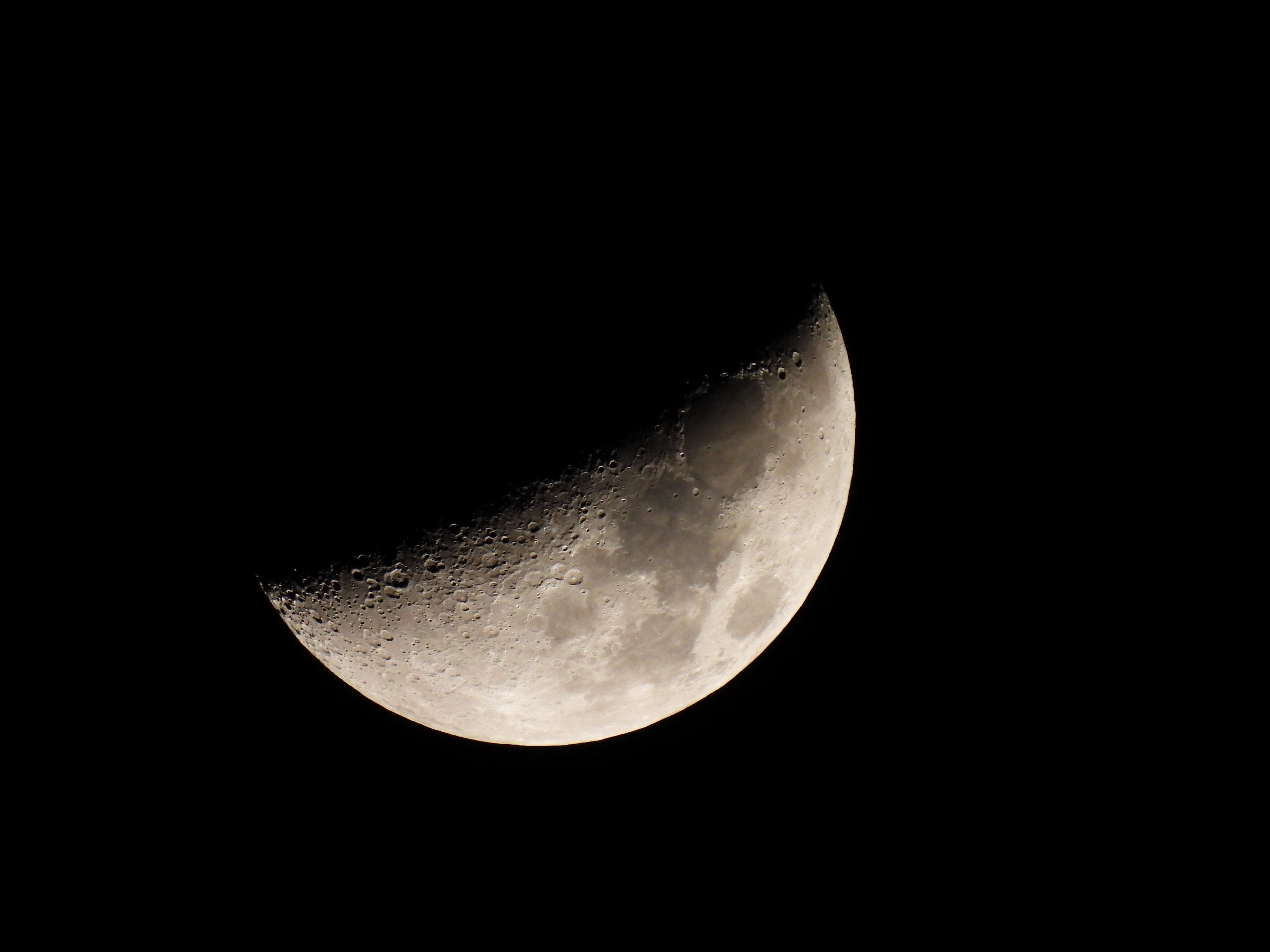 コミュレビ」「エブリバディ・コンシェルジュ」｜マップカメラ｜日本