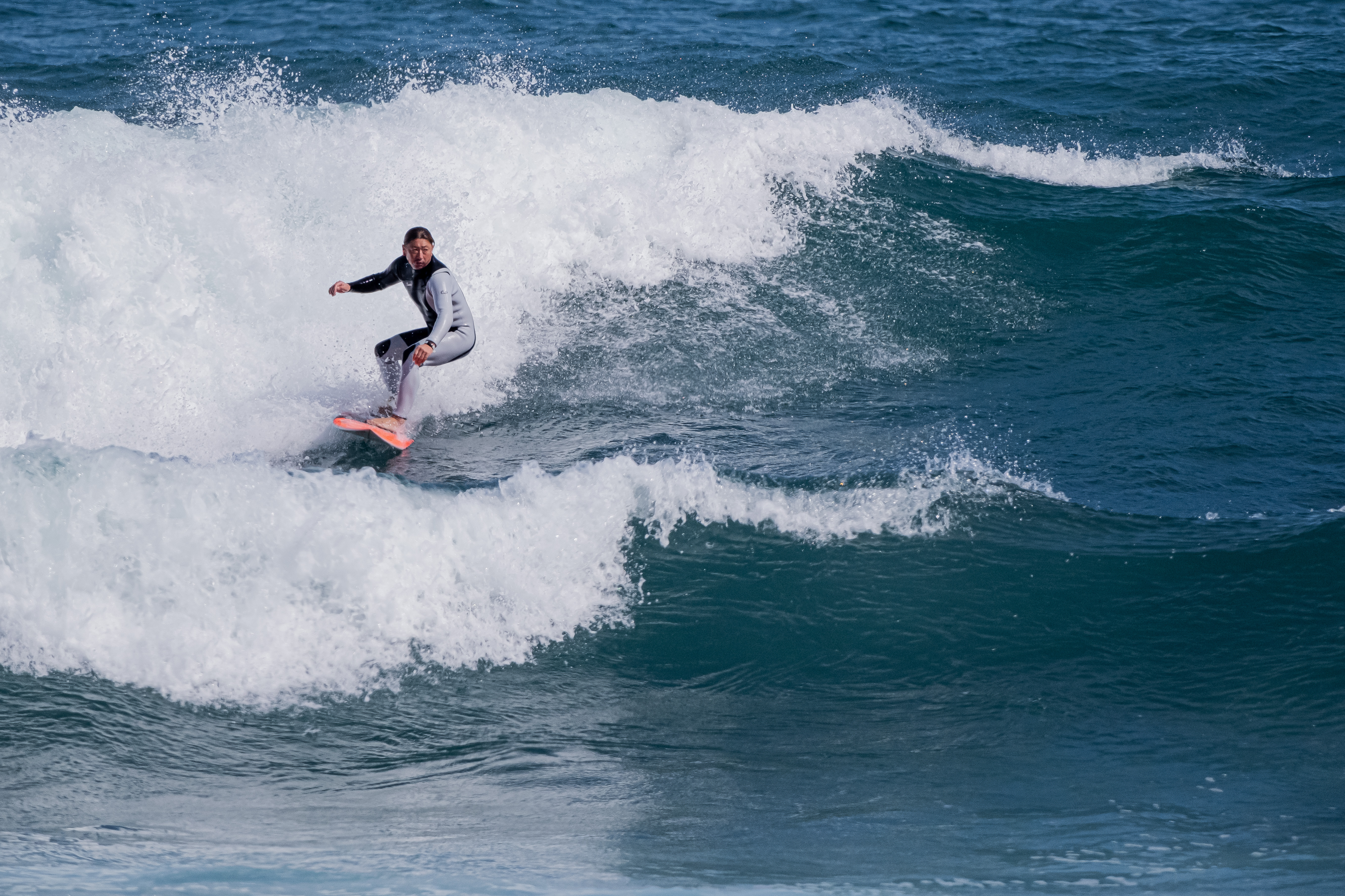 コミュレビ」「エブリバディ・コンシェルジュ」｜マップカメラ｜日本