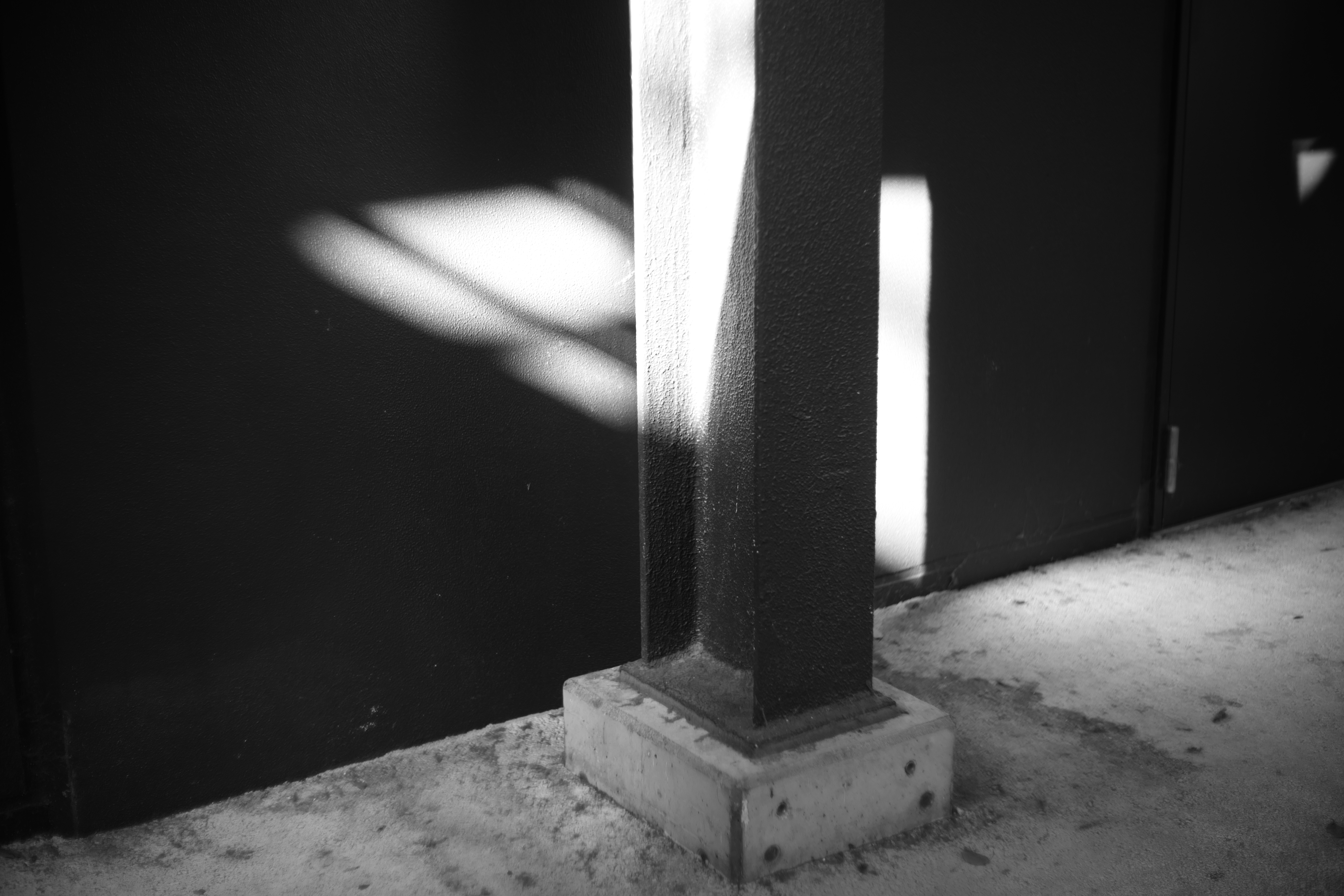 コミュレビ」「エブリバディ・コンシェルジュ」｜マップカメラ｜日本