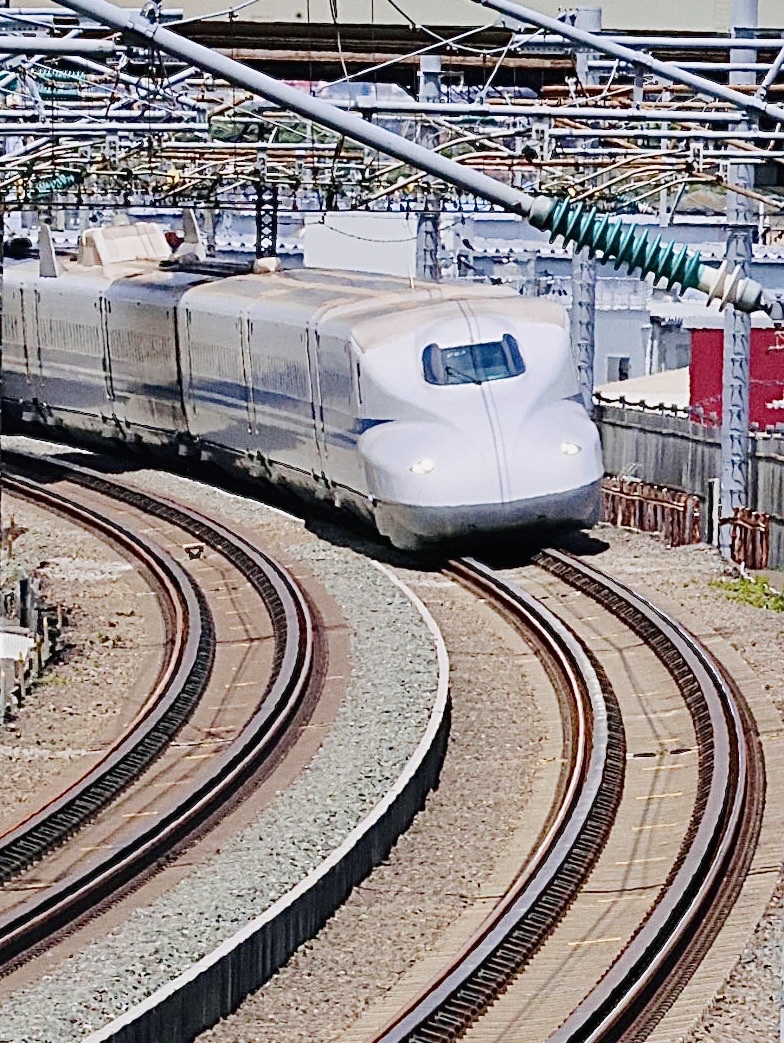 コミュレビ」「エブリバディ・コンシェルジュ」｜マップカメラ｜日本