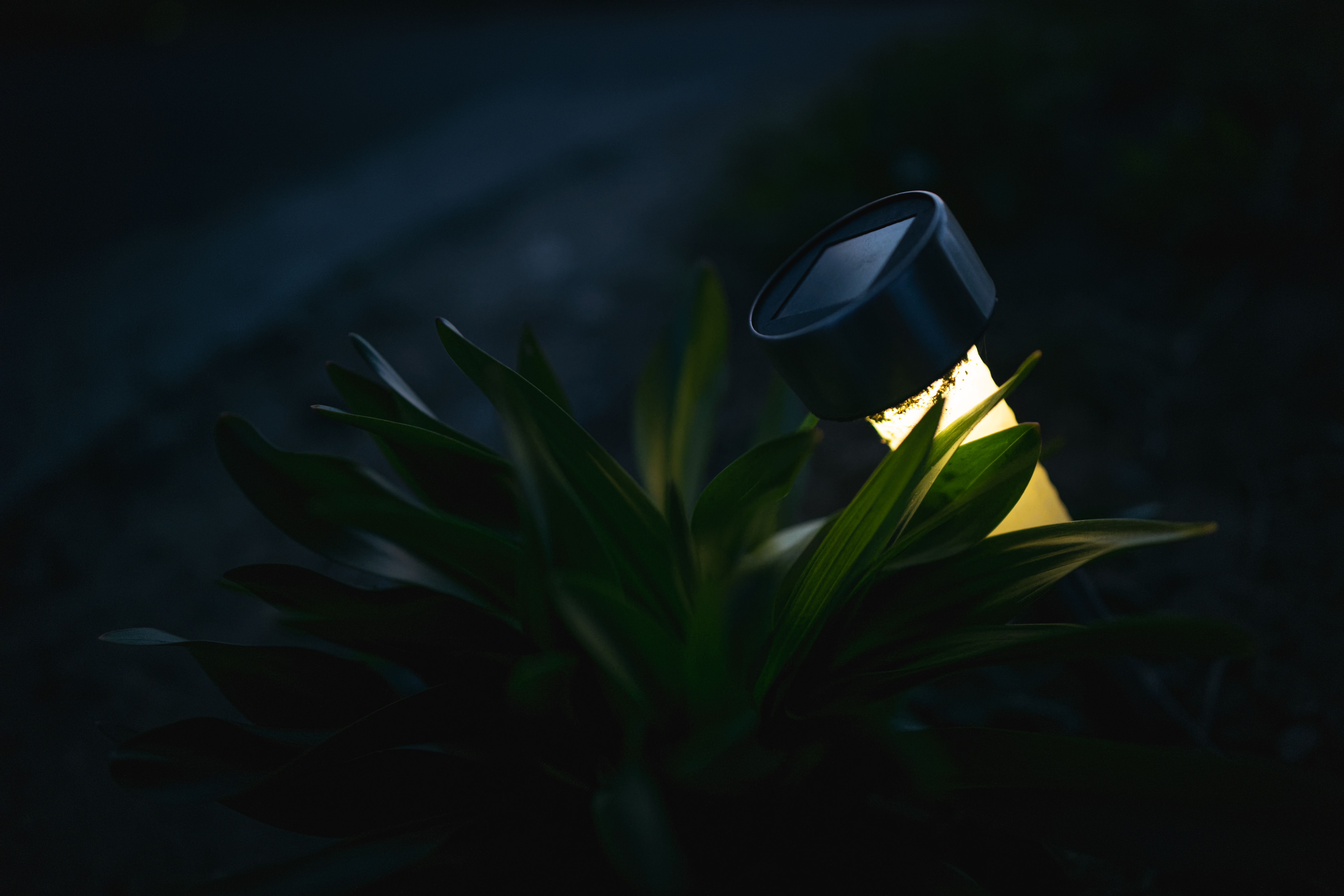 レンズ(ズーム) M.ZUIKO DIGITAL 100-400mm F5.0-6.3 IS II コミュレビ」「エブリバディ・コンシェルジュ」｜マップカメラ