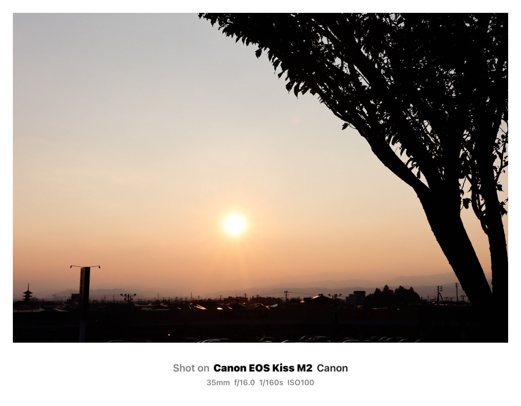 新品)SIGMA (シグマ) Art 18-35mm F1.8 DC HSM (キヤノンEF用 新品)SIGMA (シグマ) Art 18-35mm F1.8 DC HSM (キヤノンEF用