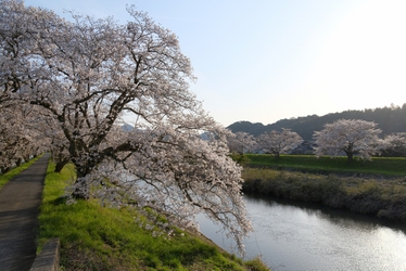 コミュレビ」「エブリバディ・コンシェルジュ」｜マップカメラ｜日本