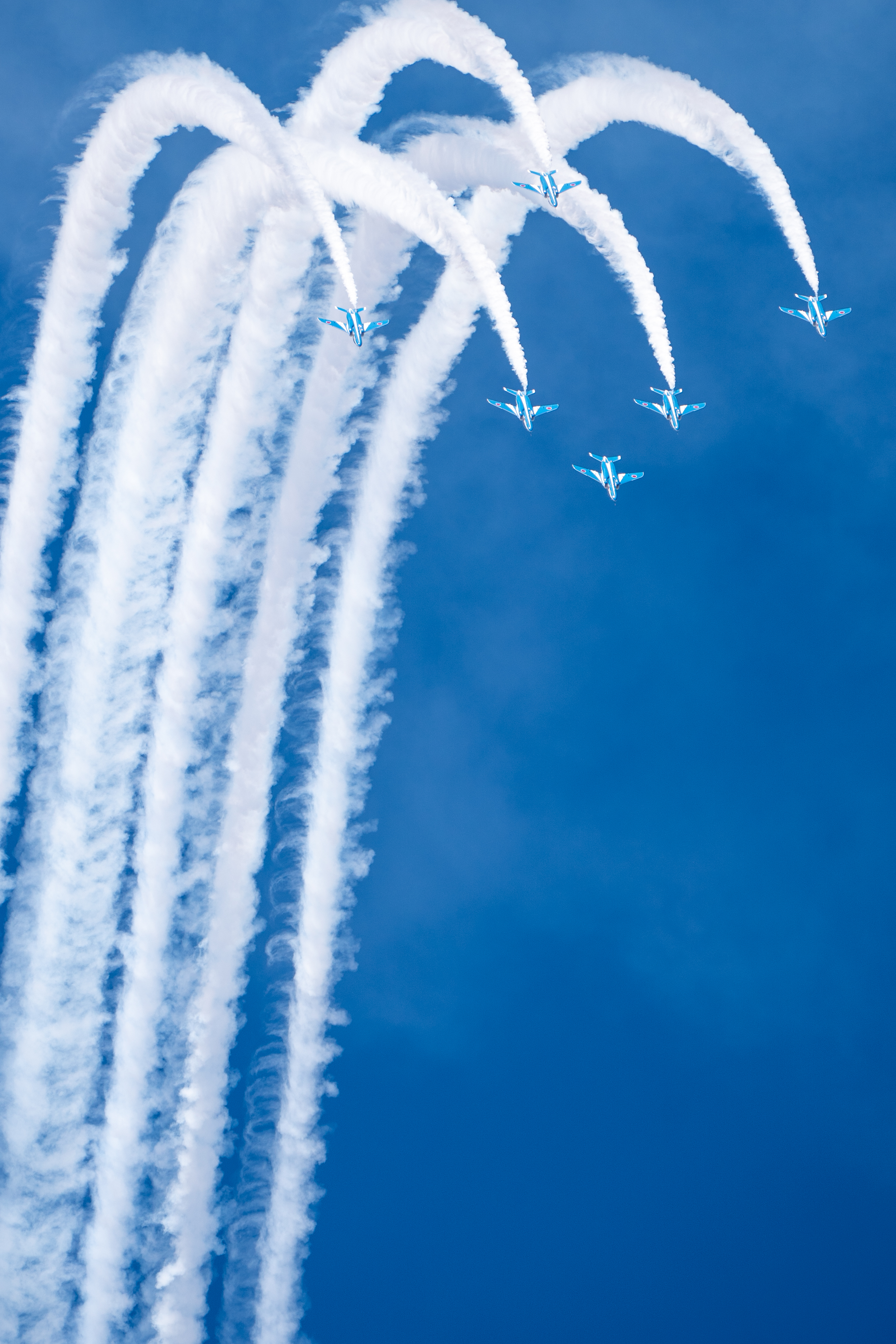 コミュレビ」「エブリバディ・コンシェルジュ」｜マップカメラ｜日本