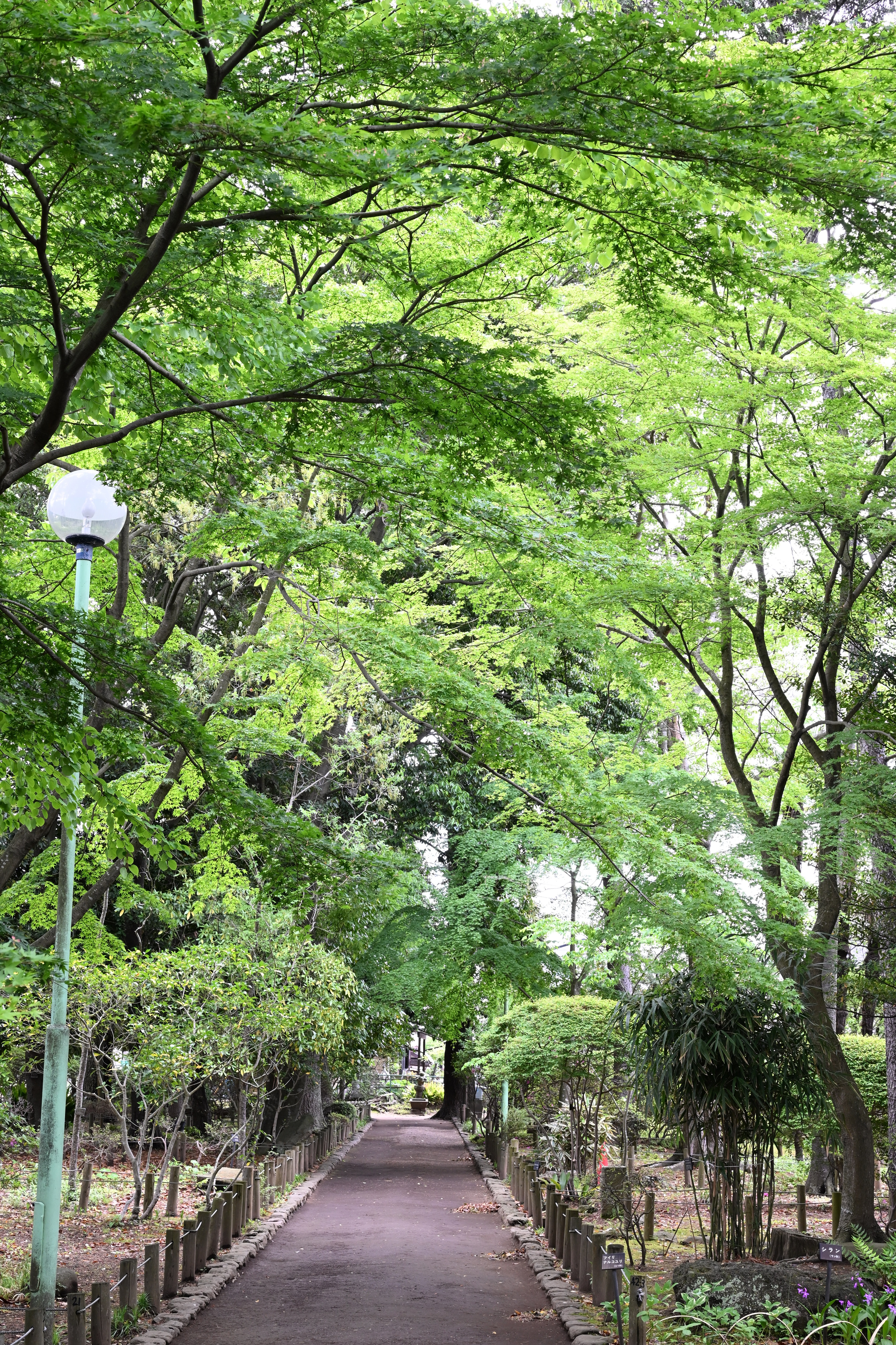 レンズ(ズーム) zuiko 12-200mm f3.5-6.3 Nikon Ai AF-S ズームニッコール ED 28-70mm F2.8D (IF) ブラック 中古