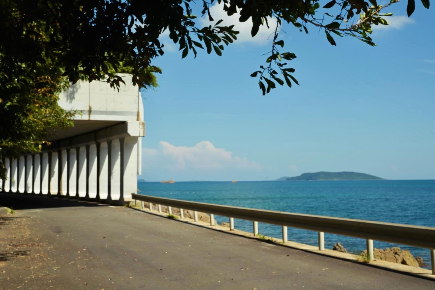 レンズ(ズーム) zuiko 12-200mm f3.5-6.3 Nikon Ai AF-S ズームニッコール ED 28-70mm F2.8D (IF) ブラック 中古