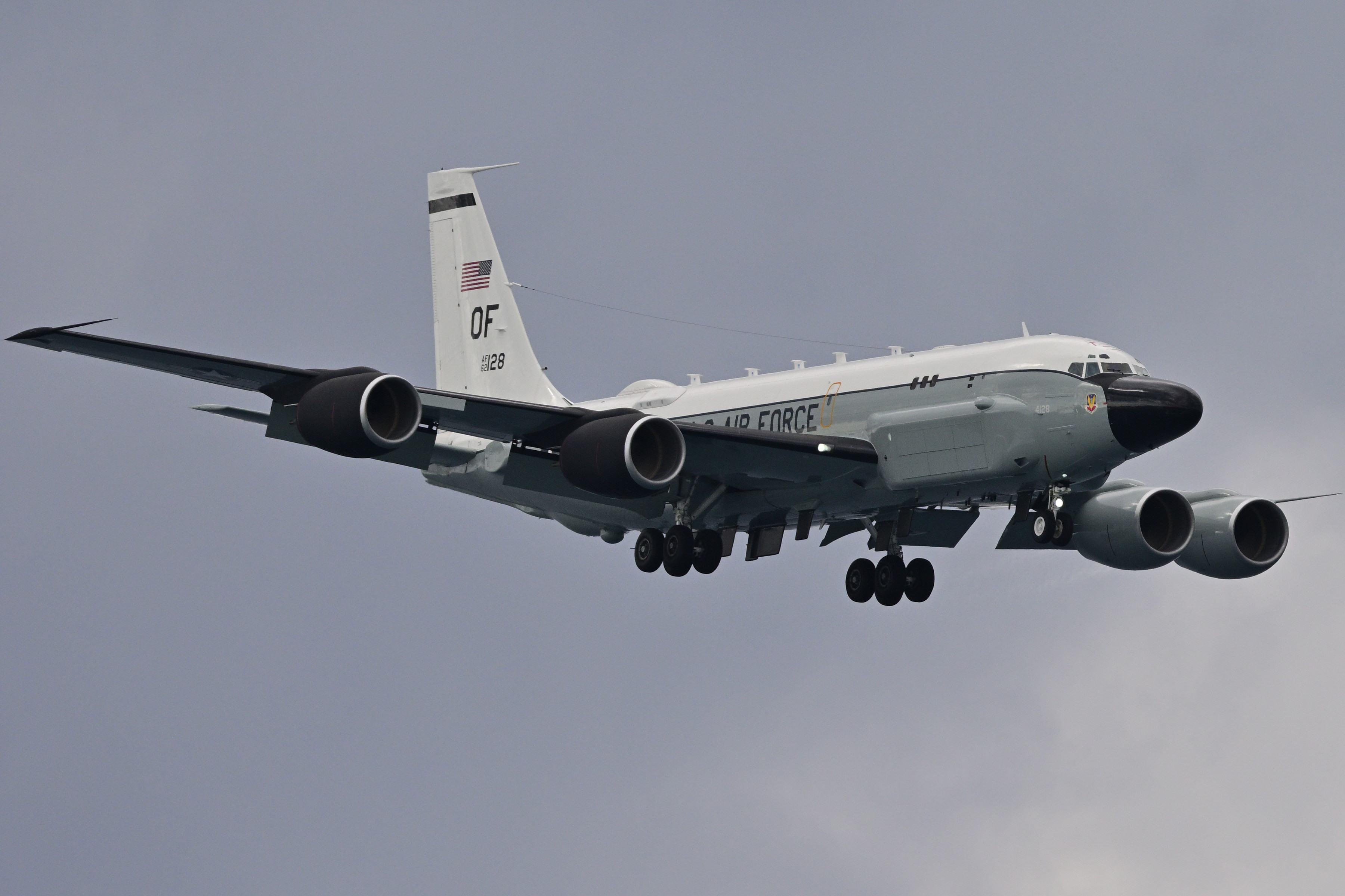 コミュレビ」「エブリバディ・コンシェルジュ」｜マップカメラ｜日本