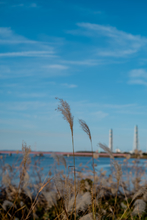 コミュレビ」「エブリバディ・コンシェルジュ」｜マップカメラ