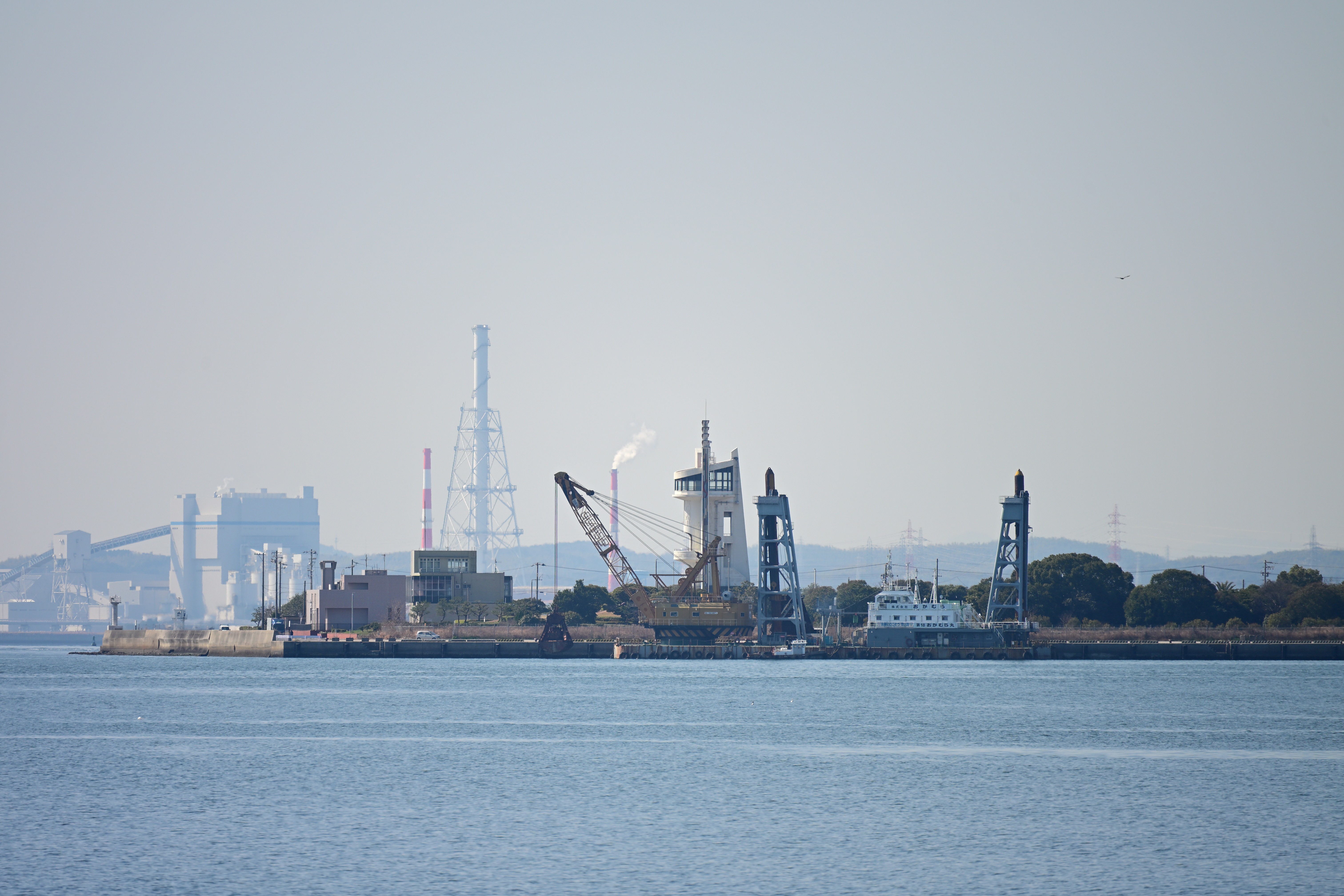 コミュレビ」「エブリバディ・コンシェルジュ」｜マップカメラ｜日本