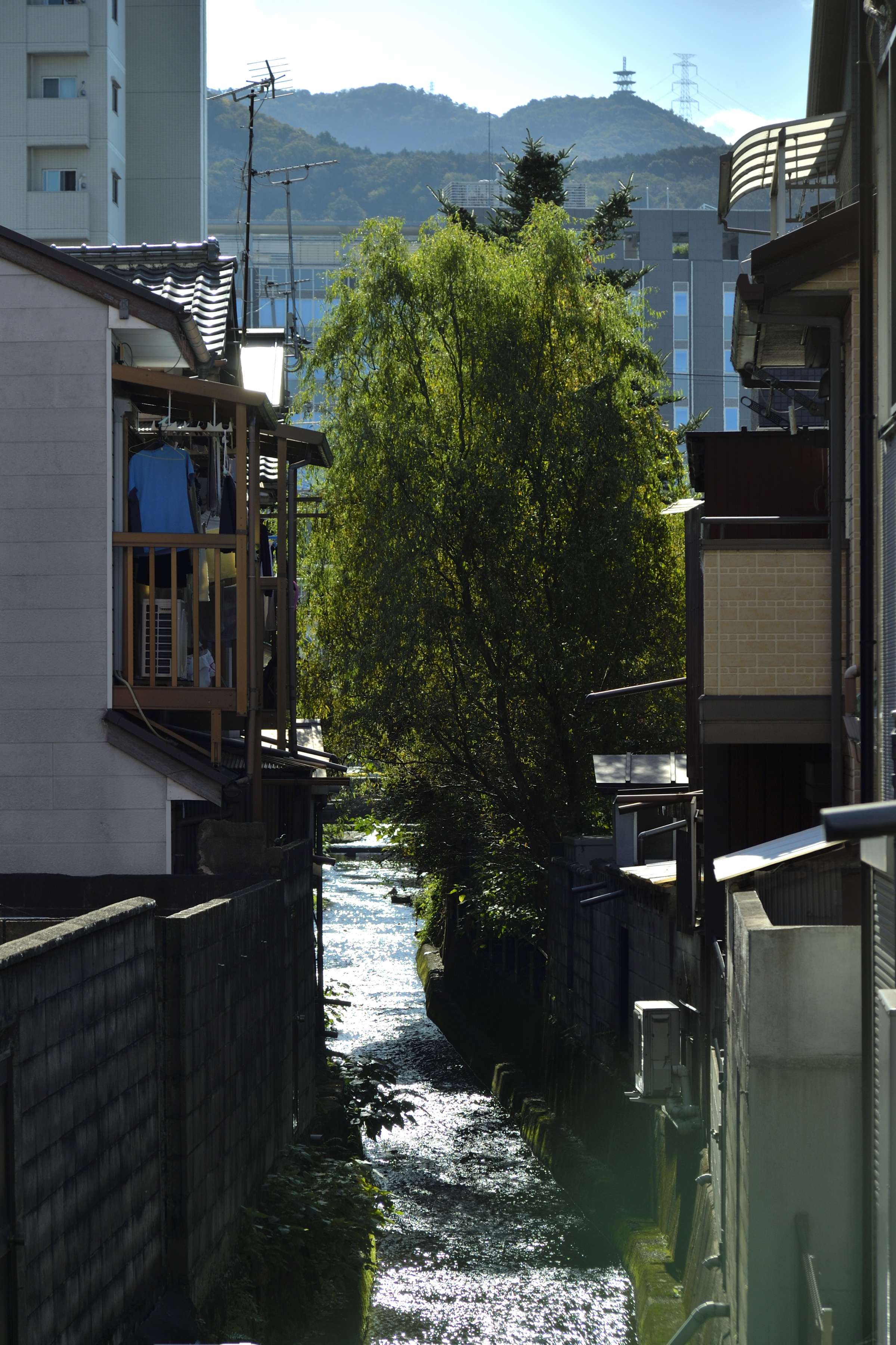 コミュレビ」「エブリバディ・コンシェルジュ」｜マップカメラ