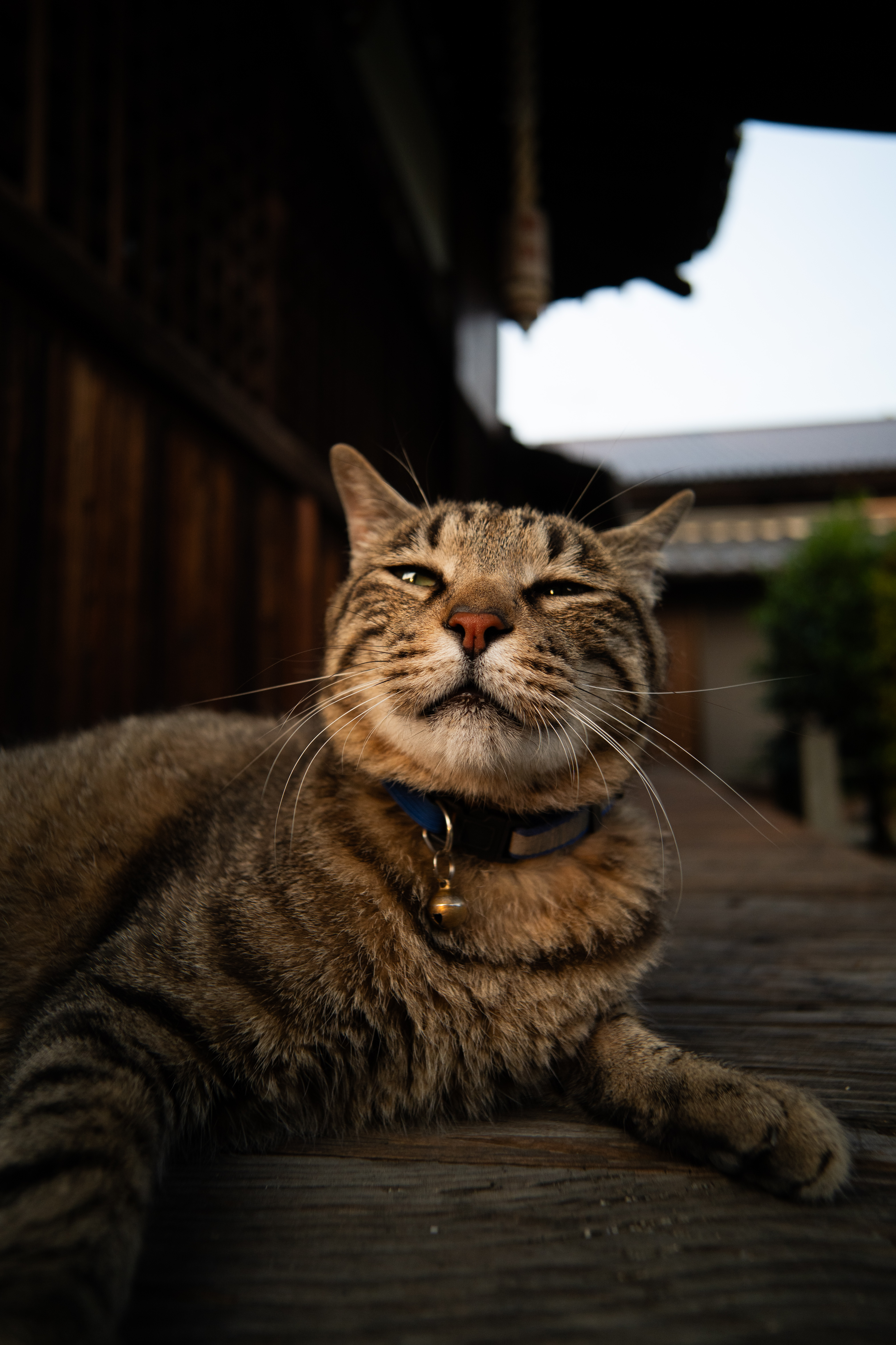 0405　両耳　3.5×21mmゴールド 0405 両耳 3.5×21mmゴールド 0405 両耳 3.5×21mmゴールド