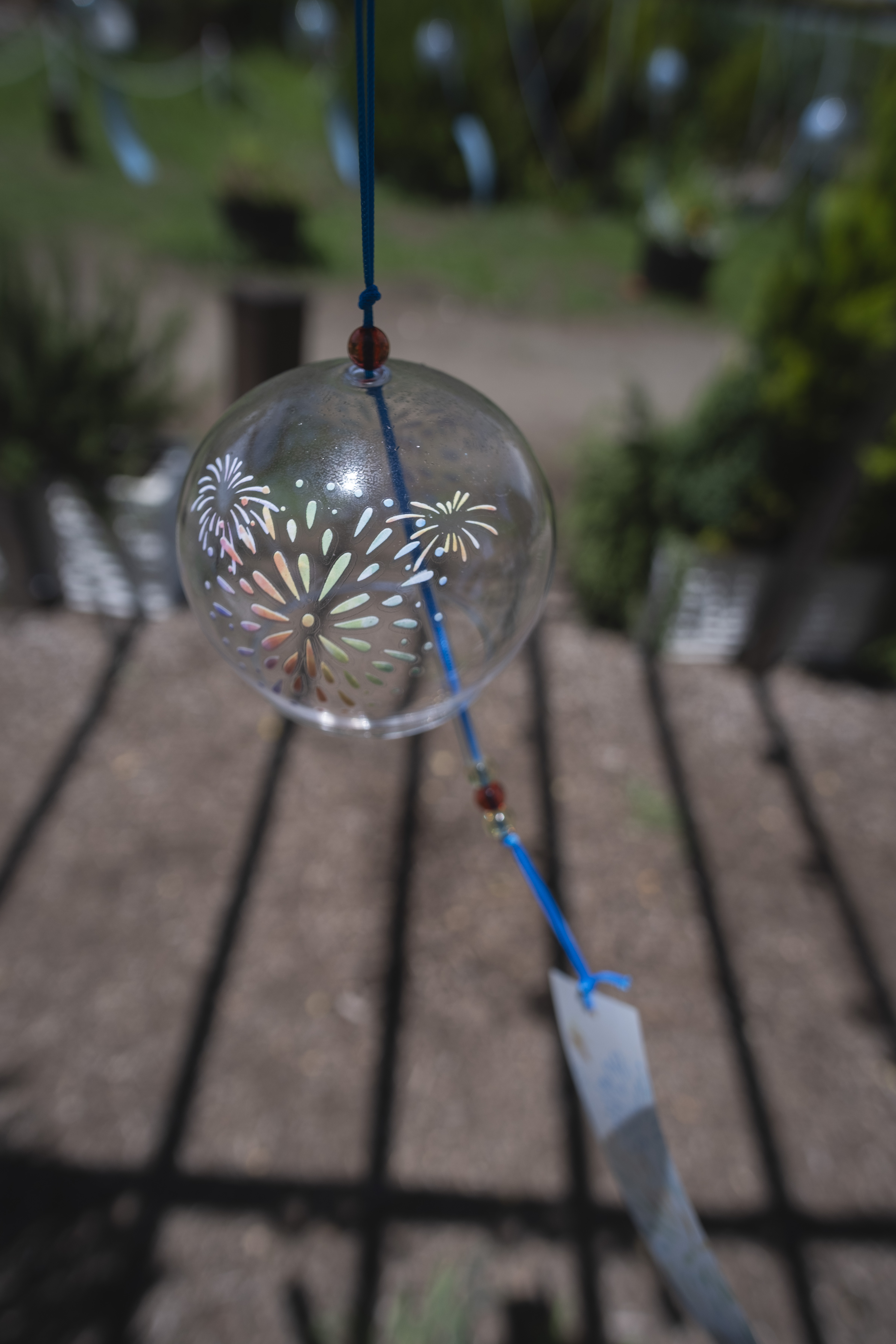 コミュレビ」「エブリバディ・コンシェルジュ」｜マップカメラ｜日本