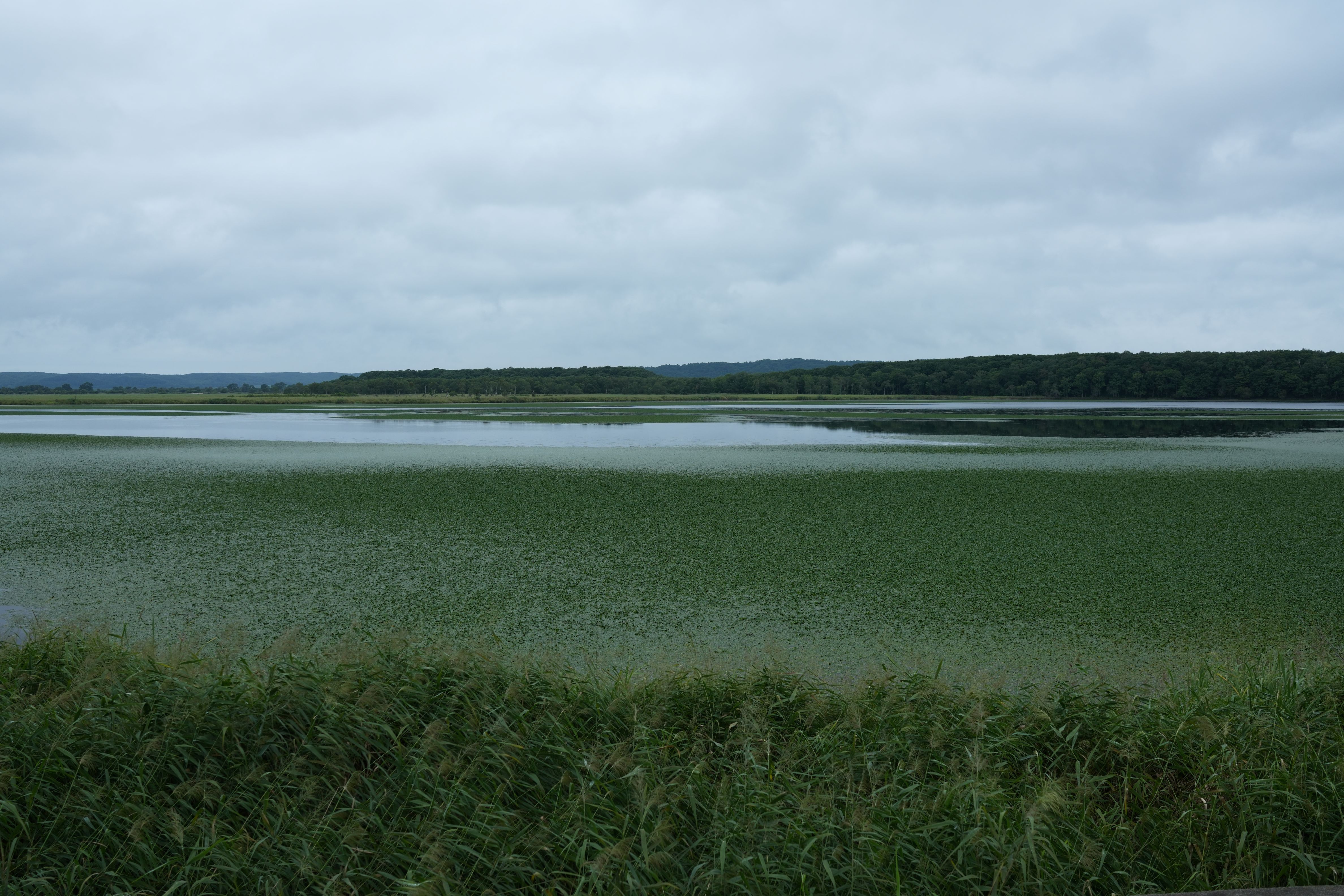 コミュレビ」「エブリバディ・コンシェルジュ」｜マップカメラ｜日本