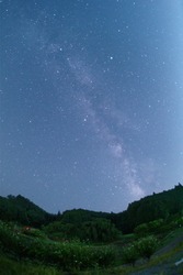 新品)銘匠光学 (めいしょうこうがく) TTArtisan 11mm F2.8