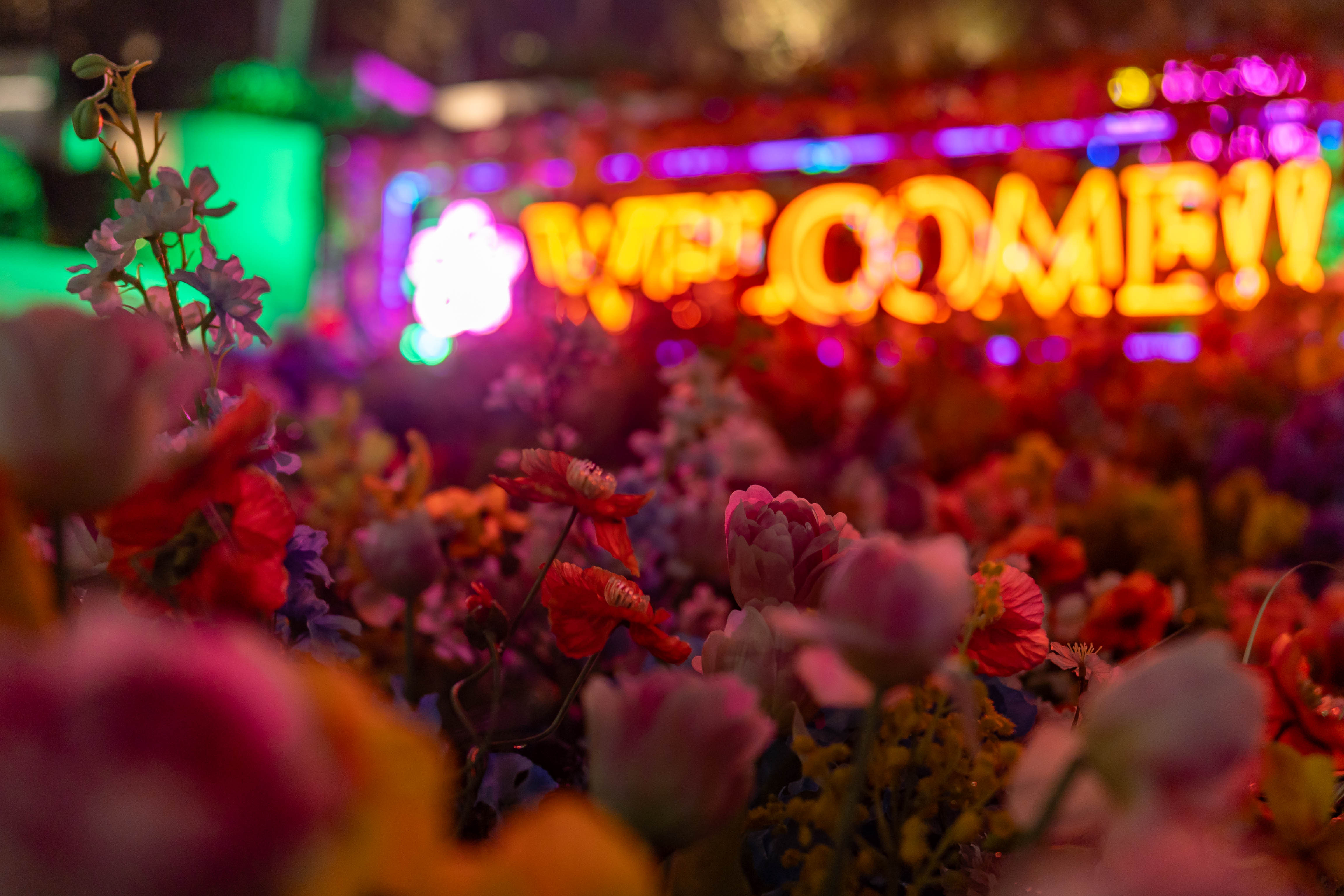 コミュレビ」「エブリバディ・コンシェルジュ」｜マップカメラ