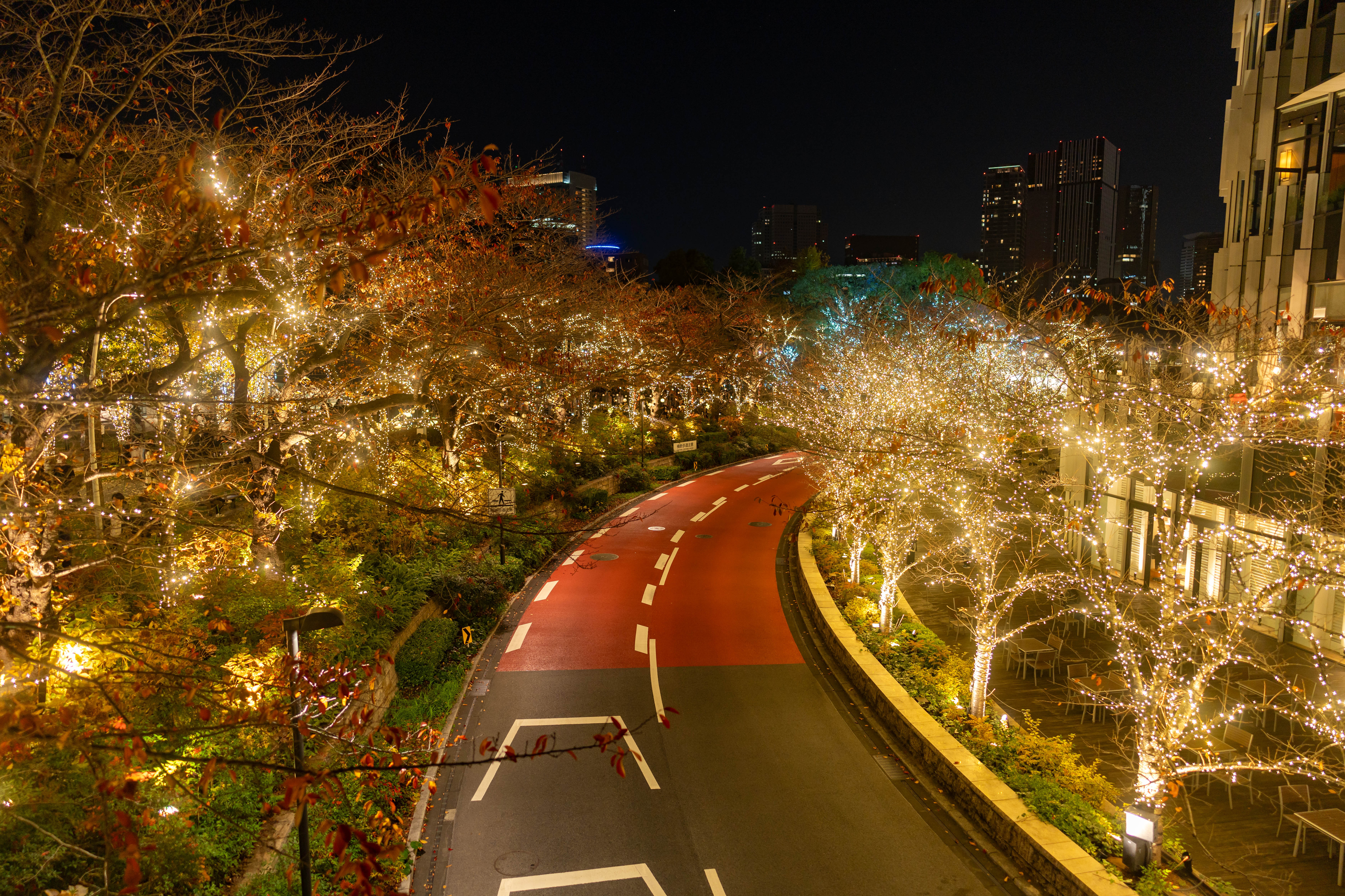 コミュレビ」「エブリバディ・コンシェルジュ」｜マップカメラ