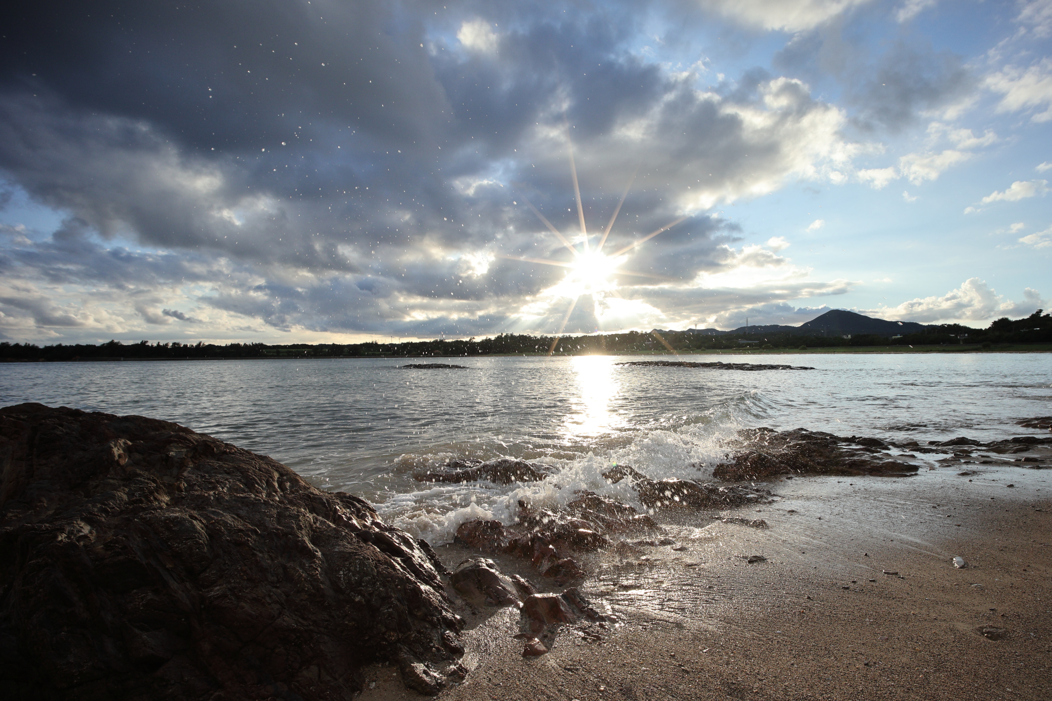コミュレビ」「エブリバディ・コンシェルジュ」｜マップカメラ｜日本