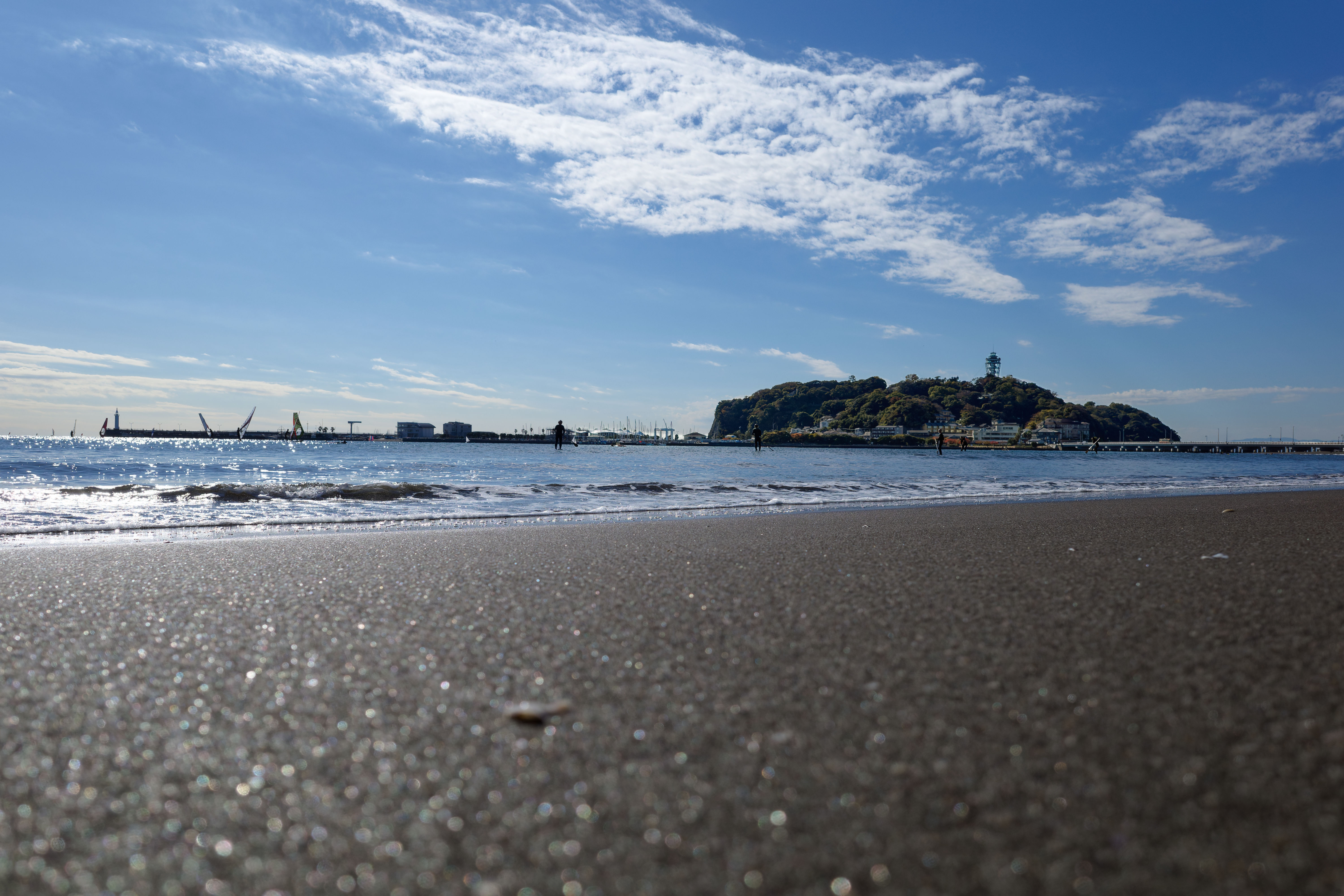 コミュレビ」「エブリバディ・コンシェルジュ」｜マップカメラ｜日本