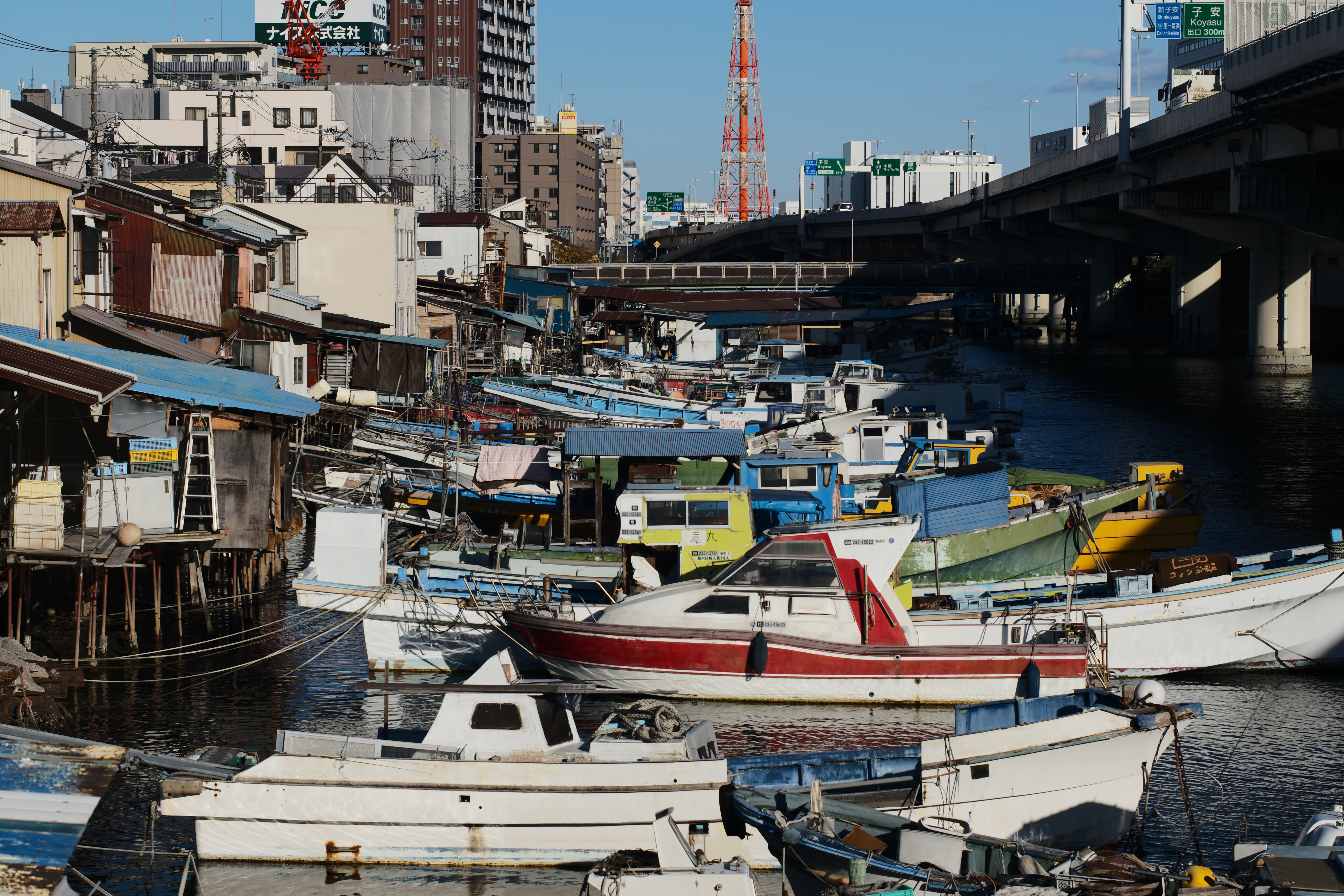 コミュレビ」「エブリバディ・コンシェルジュ」｜マップカメラ｜日本