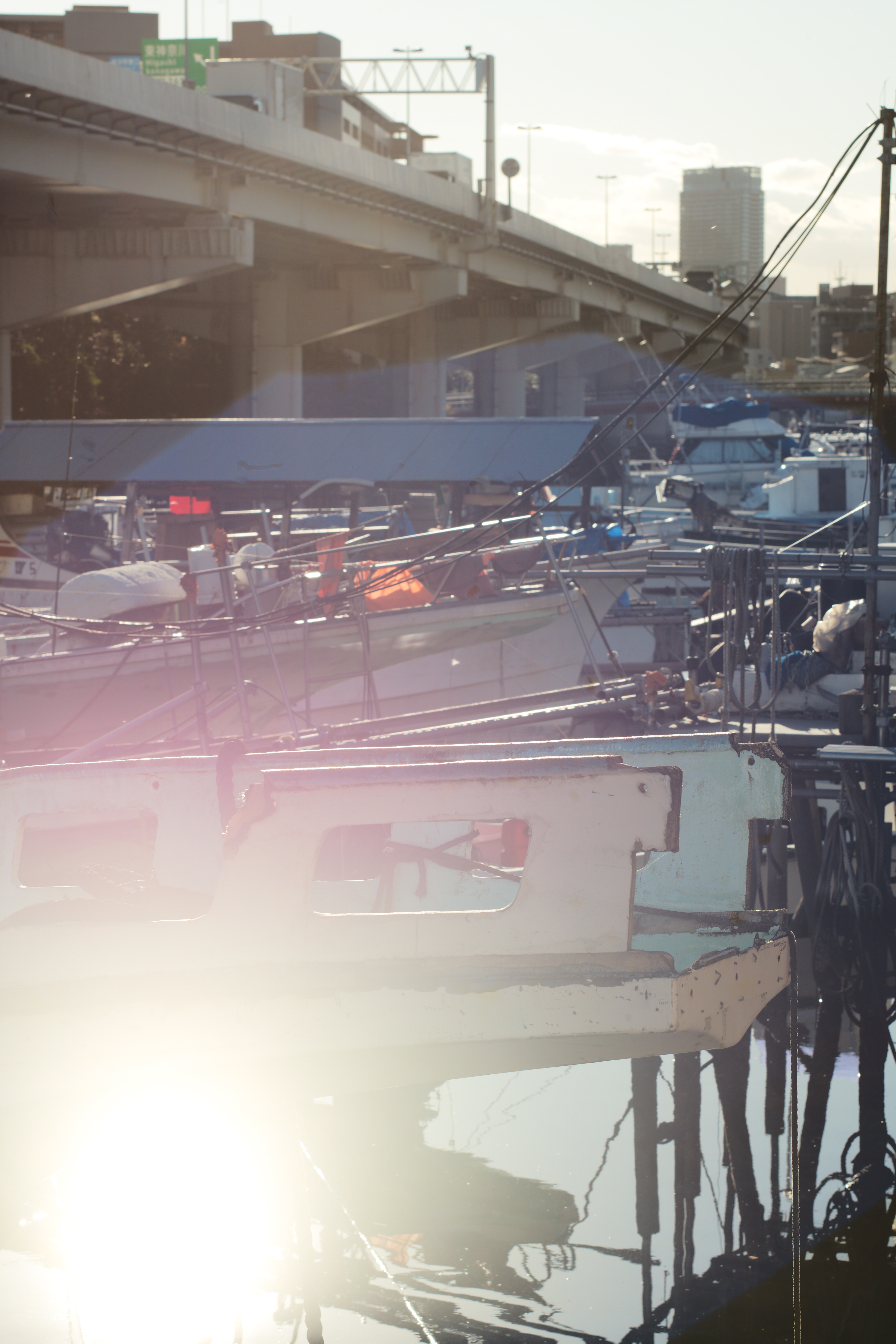 コミュレビ」「エブリバディ・コンシェルジュ」｜マップカメラ｜日本