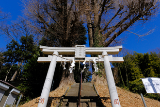 新品)FUJIFILM (フジフイルム) フジノン XC13-33mm F3.5-6.3 OIS（商品