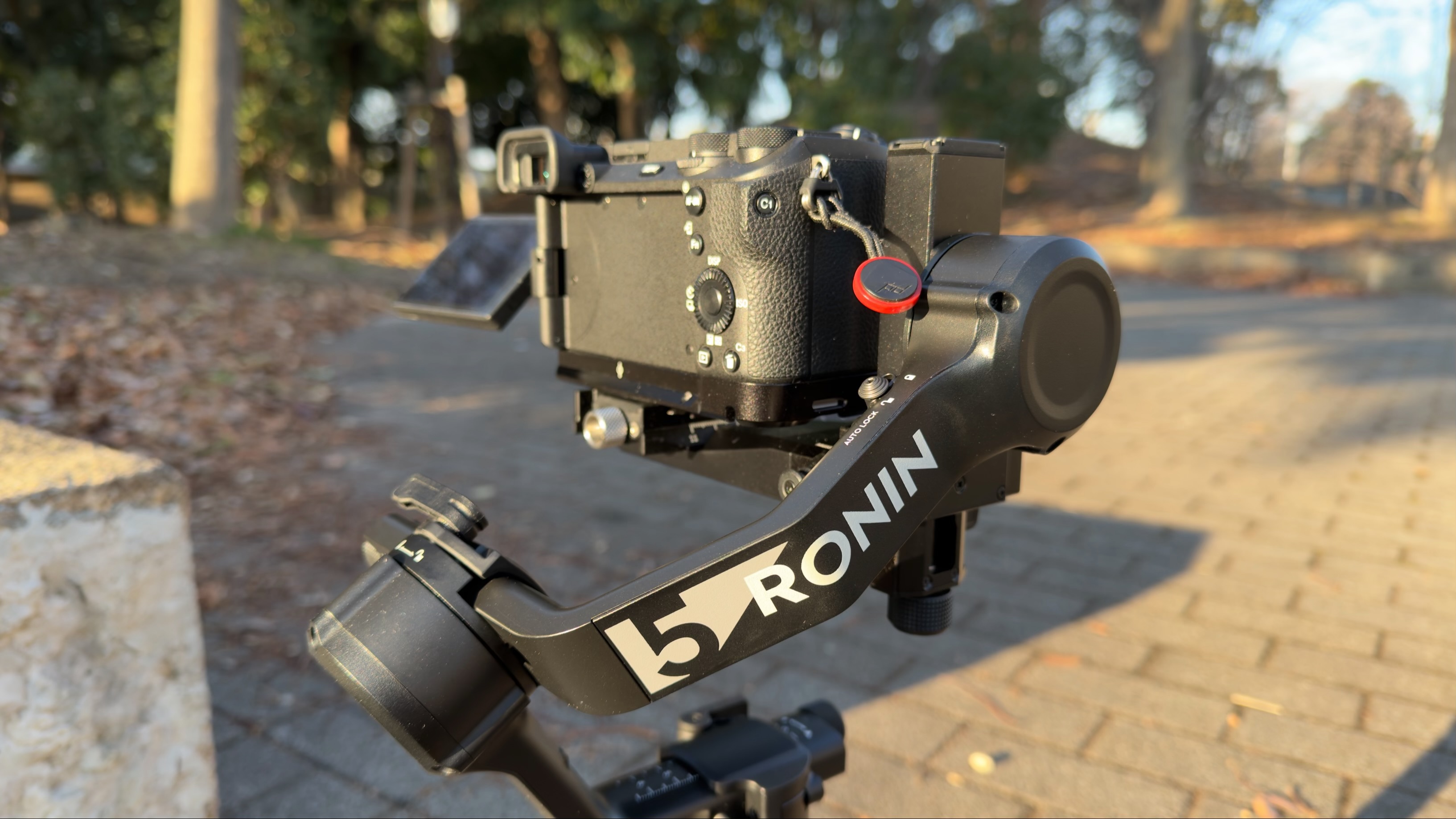 コミュレビ」「エブリバディ・コンシェルジュ」｜マップカメラ｜日本