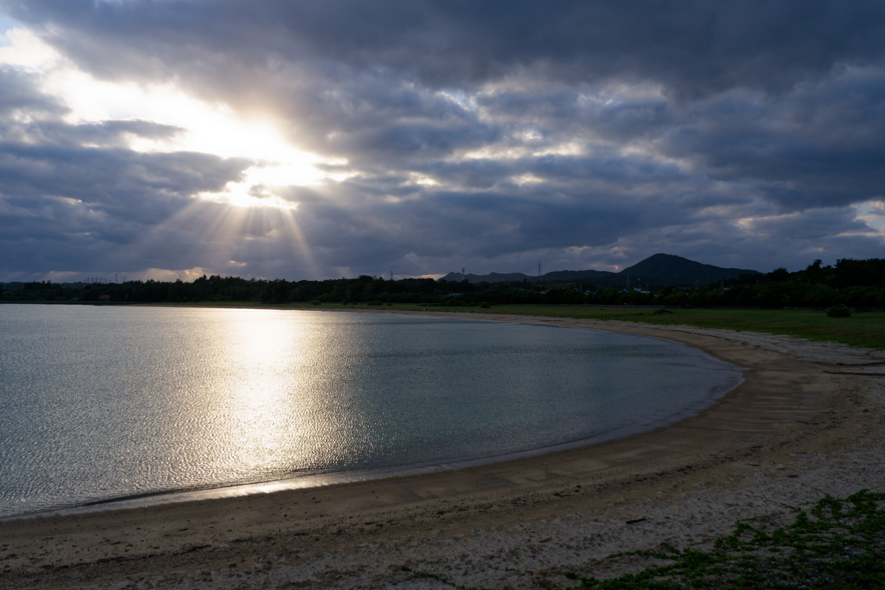 コミュレビ」「エブリバディ・コンシェルジュ」｜マップカメラ｜日本