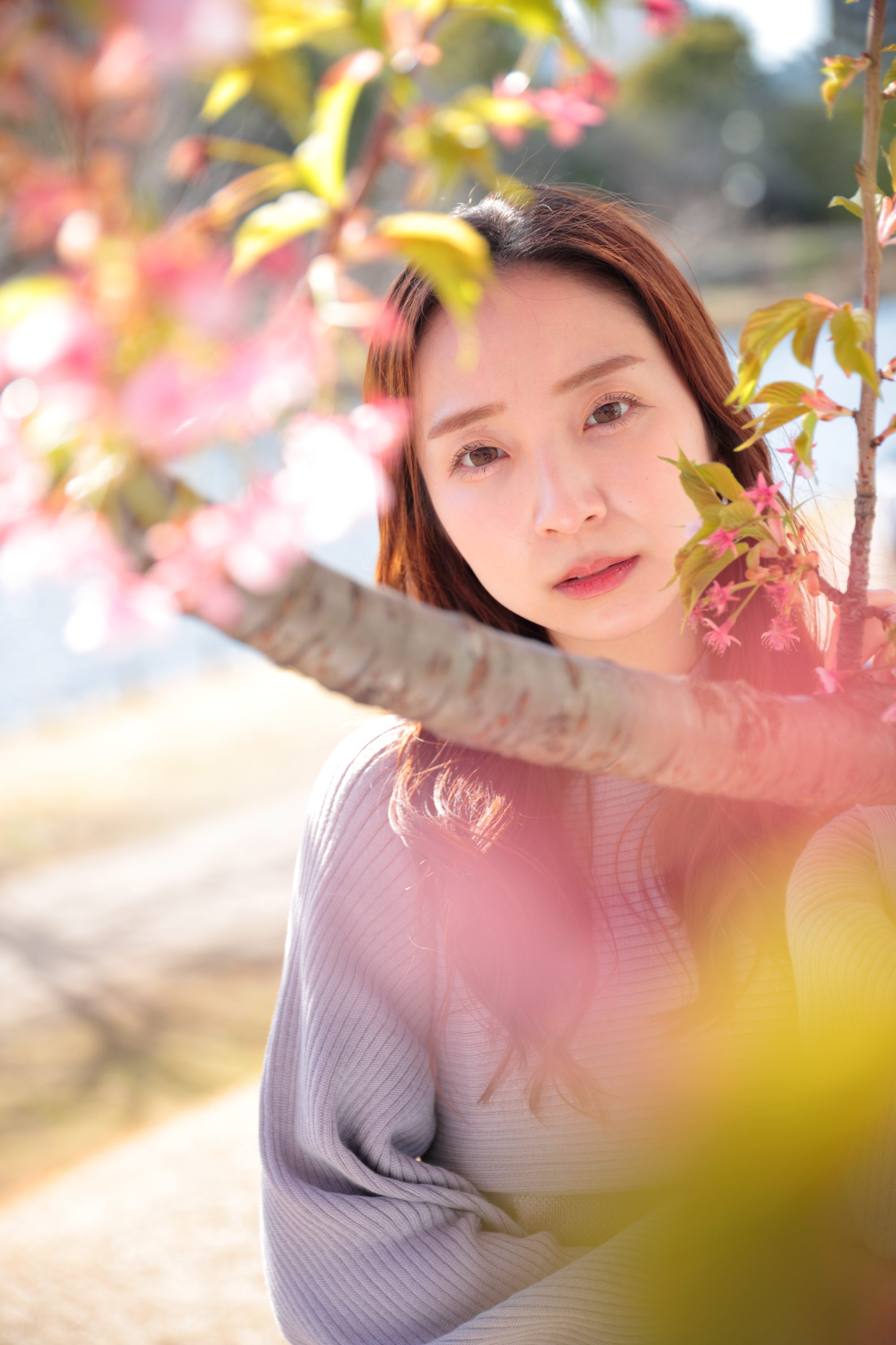 コミュレビ」「エブリバディ・コンシェルジュ」｜マップカメラ｜日本