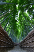 良品 LUMIX G VARIO 14-140mm F3.5-5.6 ASPH. コミュレビ」「エブリバディ・コンシェルジュ」｜マップカメラ｜日本