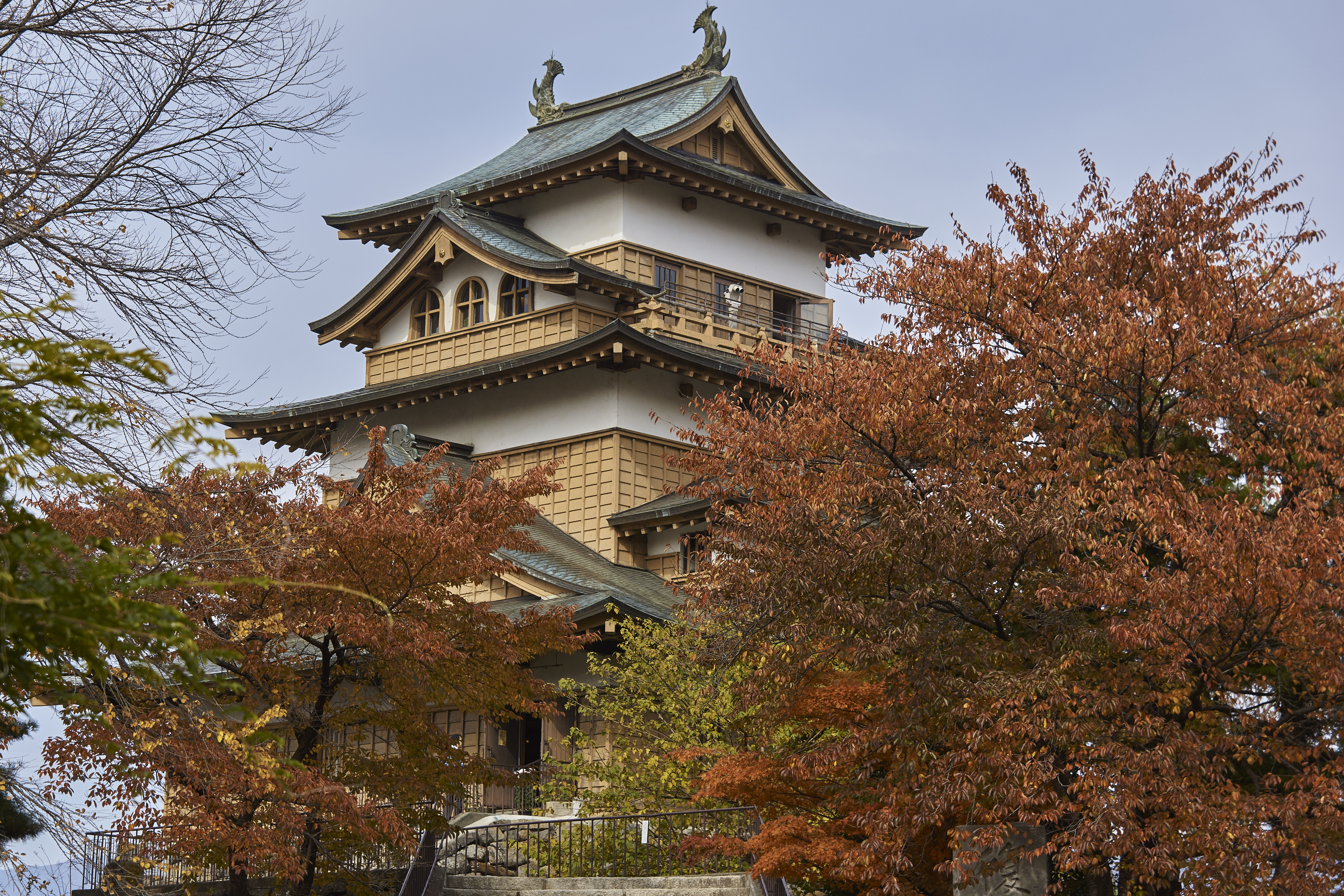 良品 LUMIX G VARIO 14-140mm F3.5-5.6 ASPH. コミュレビ」「エブリバディ・コンシェルジュ」｜マップカメラ｜日本