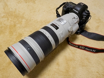 新品 Canon キヤノン Ef0 400mm F4l Is Usm エクステンダー 1 4 商品id 詳細ページ デジタルカメラ ミラーレスカメラ 交換レンズの総合サイト マップカメラ