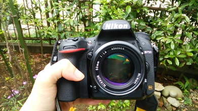 中古)Nikon (ニコン) Ai-S Nikkor 50mm F1.4（商品ID：3717020840536