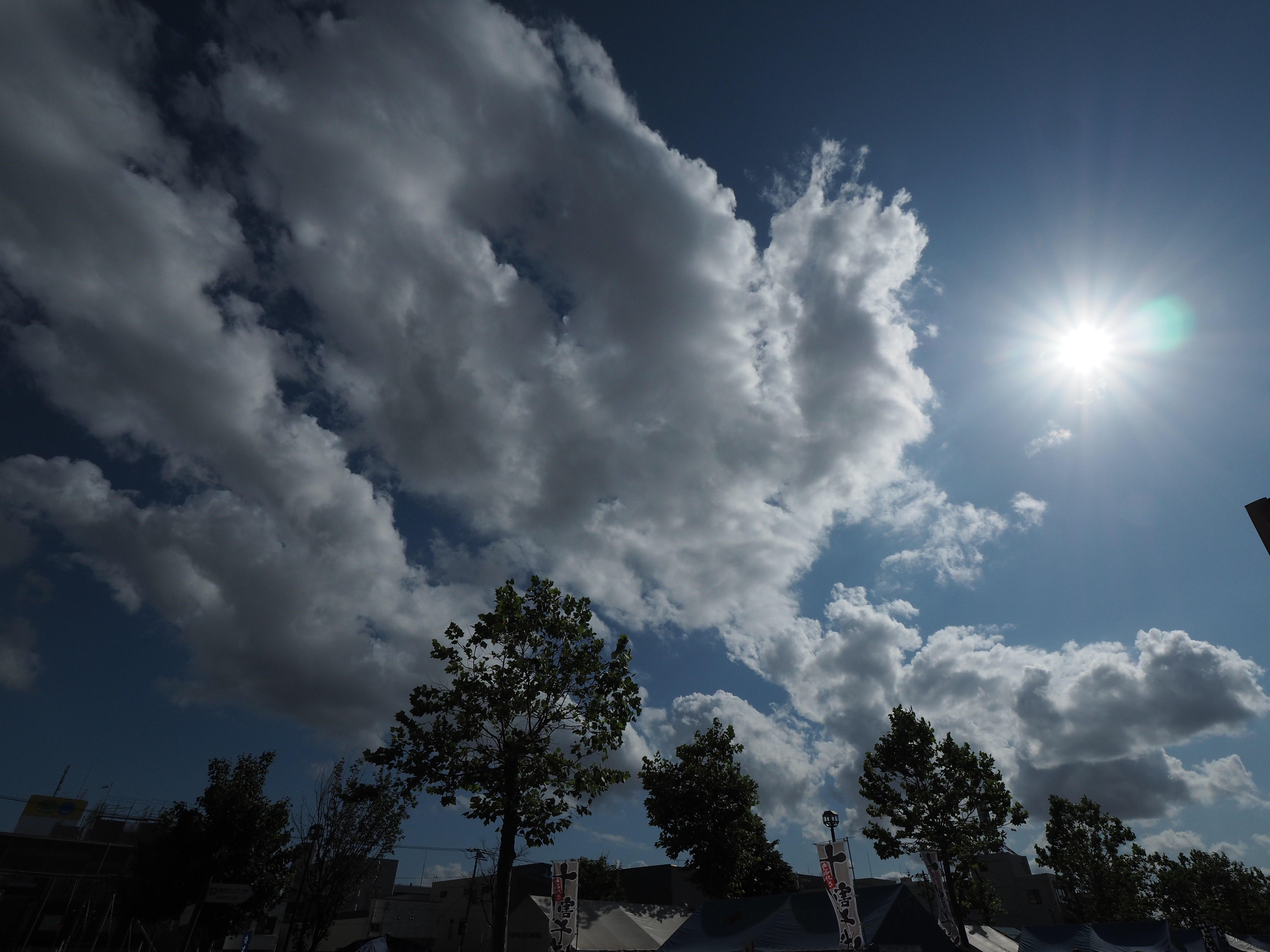 コミュレビ」「エブリバディ・コンシェルジュ」｜マップカメラ｜日本