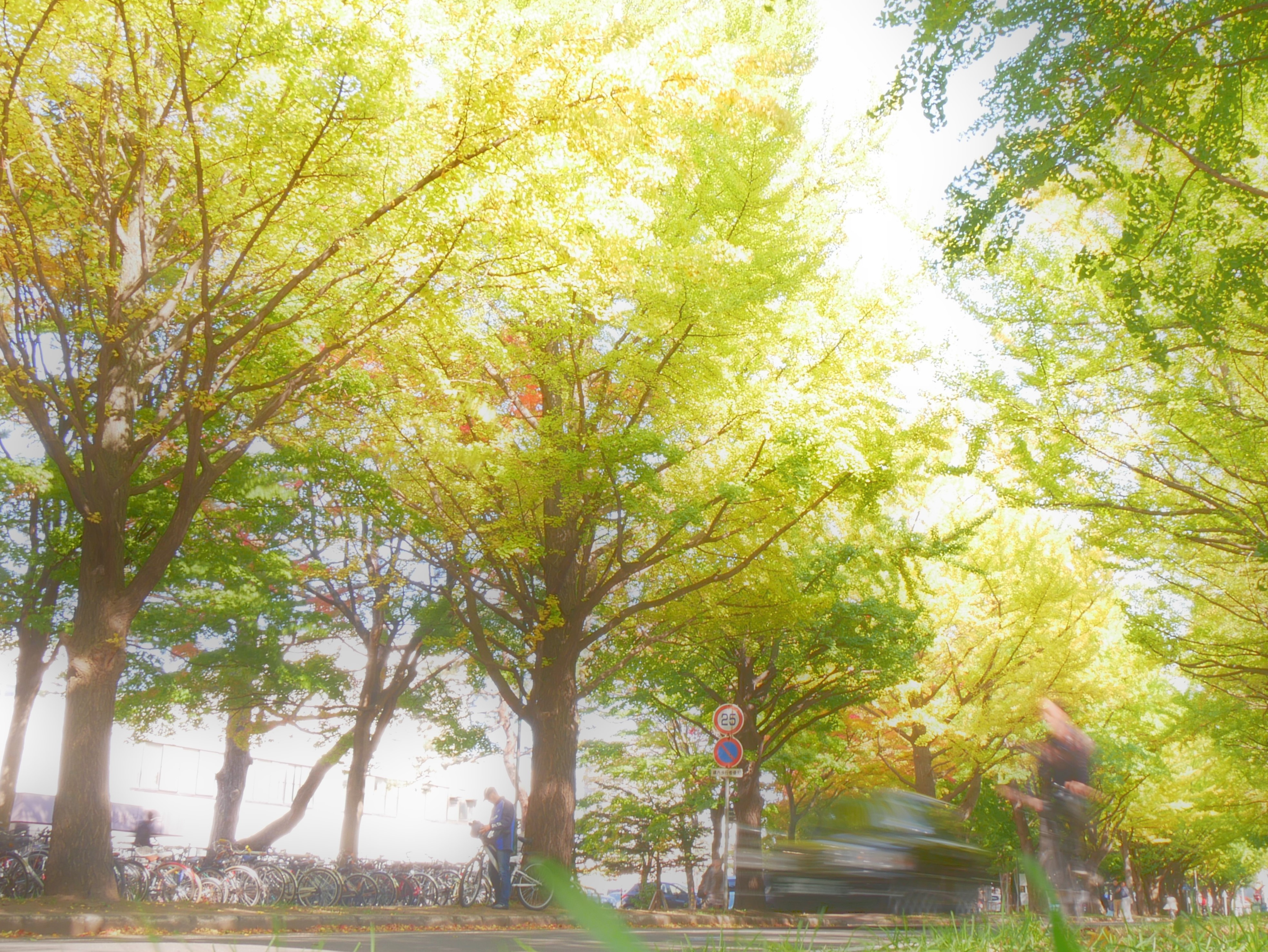 コミュレビ」「エブリバディ・コンシェルジュ」｜マップカメラ｜日本