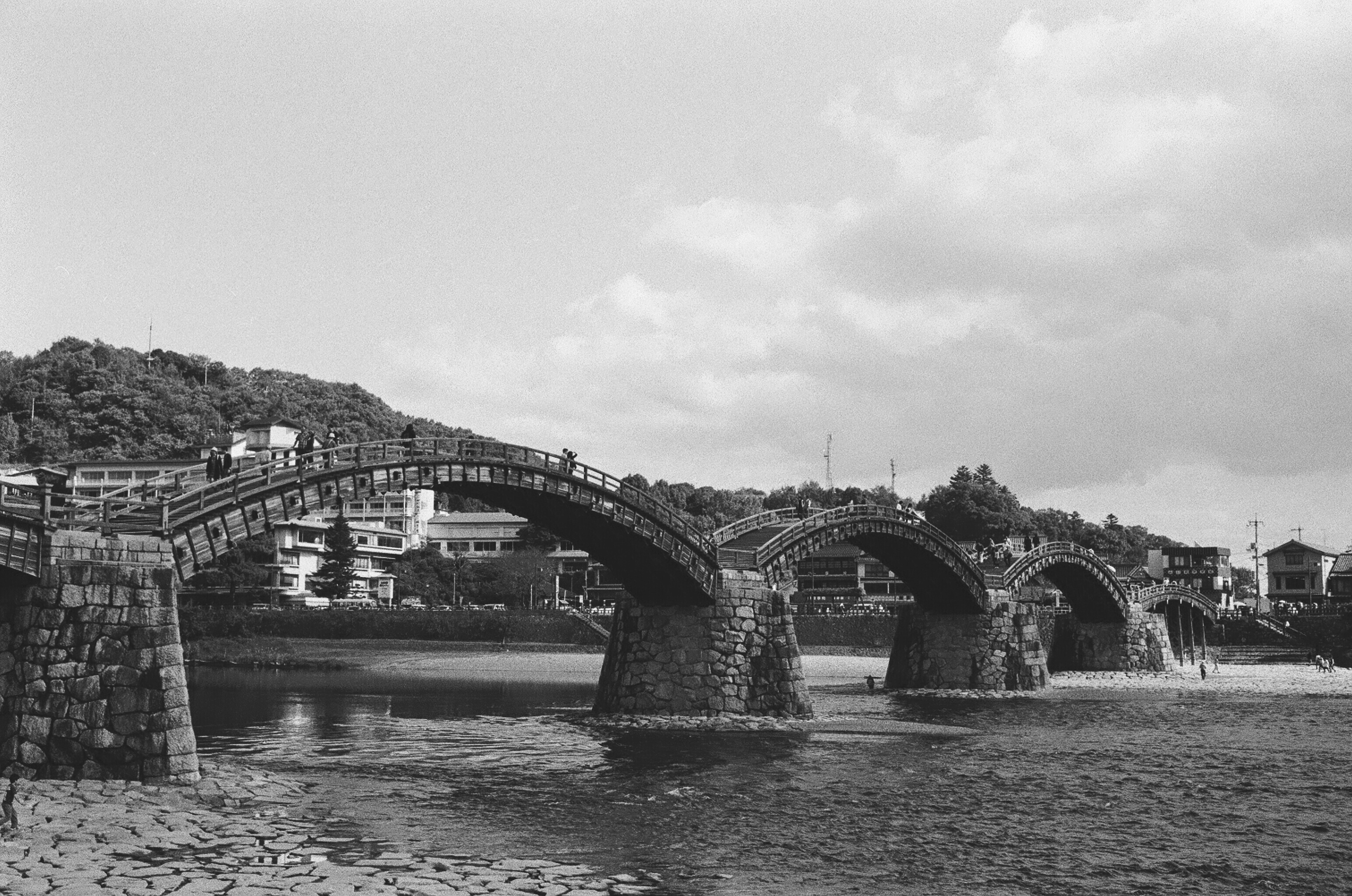 コミュレビ」「エブリバディ・コンシェルジュ」｜マップカメラ｜日本